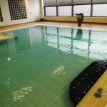 Garons Pool - Leisure Pool Mosaic Seat